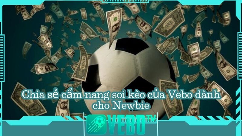Chia sẻ cẩm nang soi kèo của Vebo dành cho Newbie